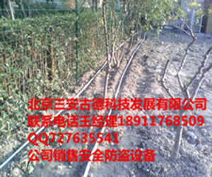 北京振动光纤、石家庄泄漏电缆与山西工厂电子围栏 现代安防技术的地域应用与融合